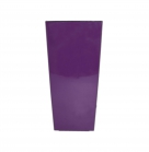 Кашпо Фінезія