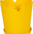 Вазон Лютік