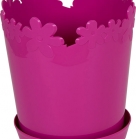 Вазон Лютік