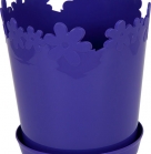 Вазон Лютік