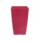 Кашпо Фінезія