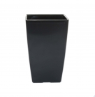 Кашпо Фінезія