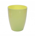 Орхідея Алеана кашпо