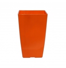 Кашпо Фінезія