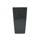 Кашпо Фінезія