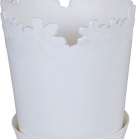 Вазон Лютік